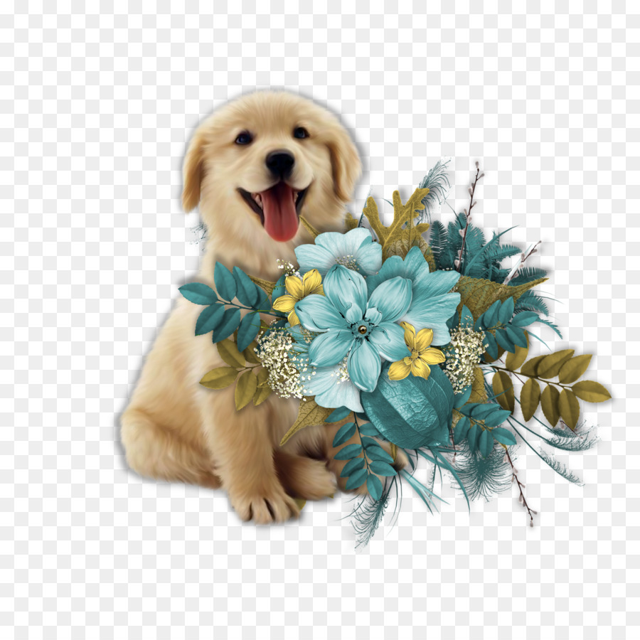 Golden Retriever，Köpek Yavrusu PNG