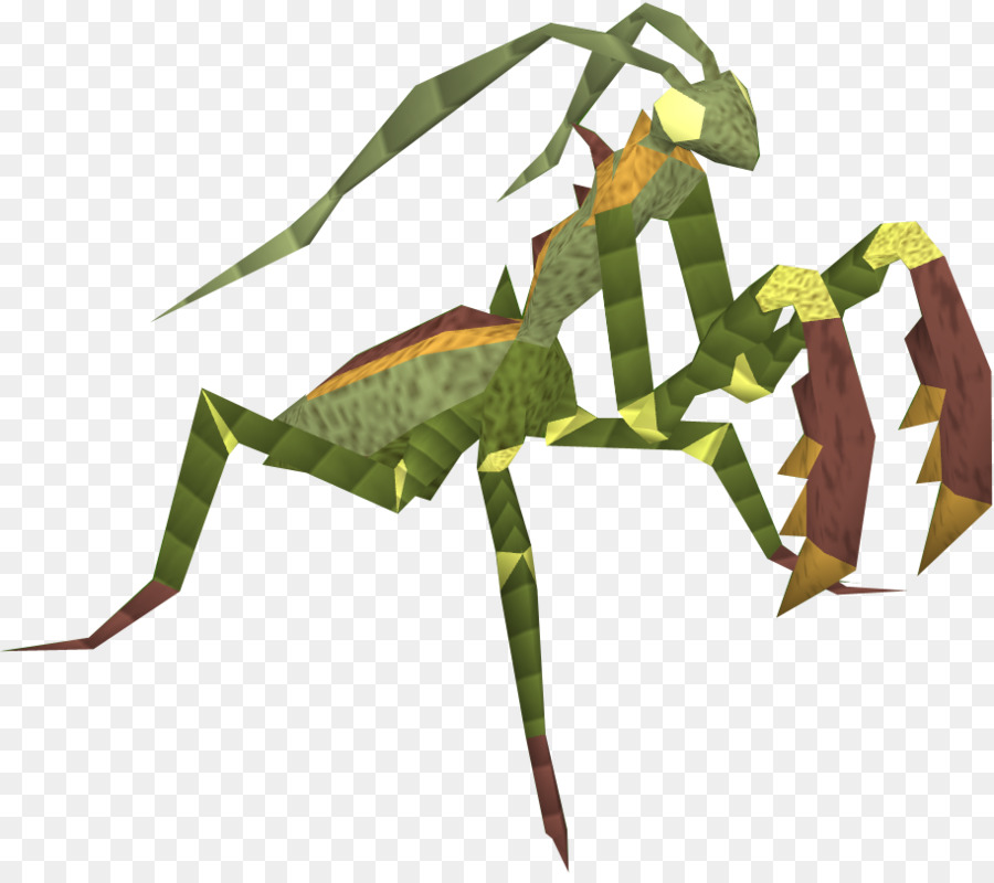 Böcek，Peygamber Devesi PNG