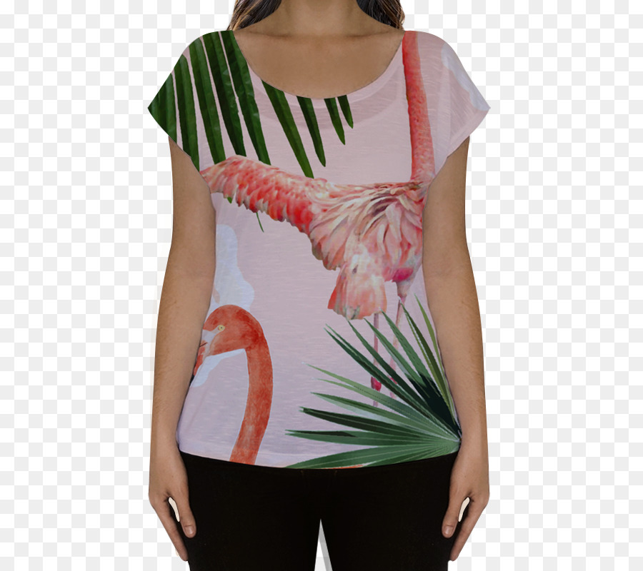 Tshirt，Sanat PNG