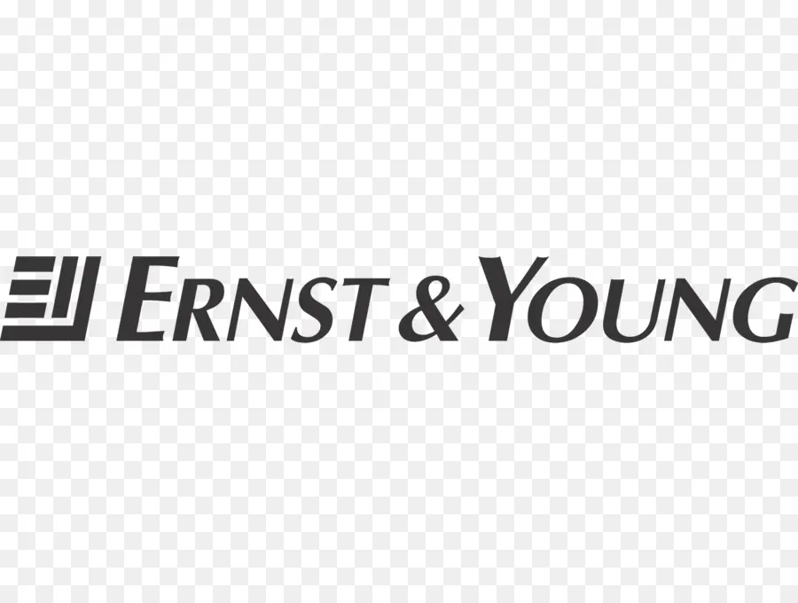 Ernst Young，Şirket PNG