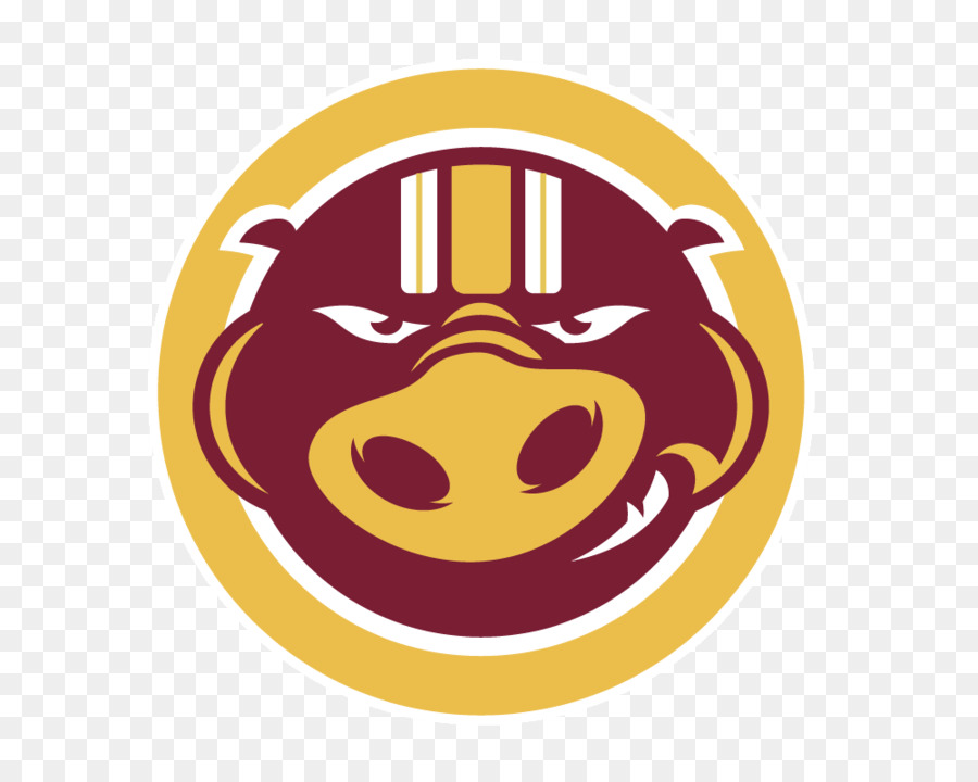 Washington Redskins，Nfl PNG