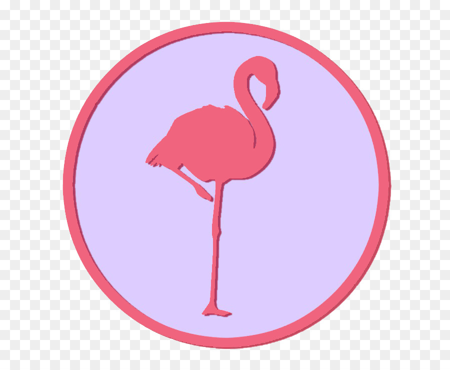 Flamingo，Kuş PNG