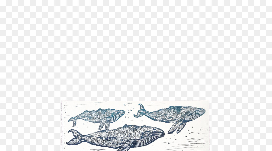 Deniz Memelisi，Yunus PNG