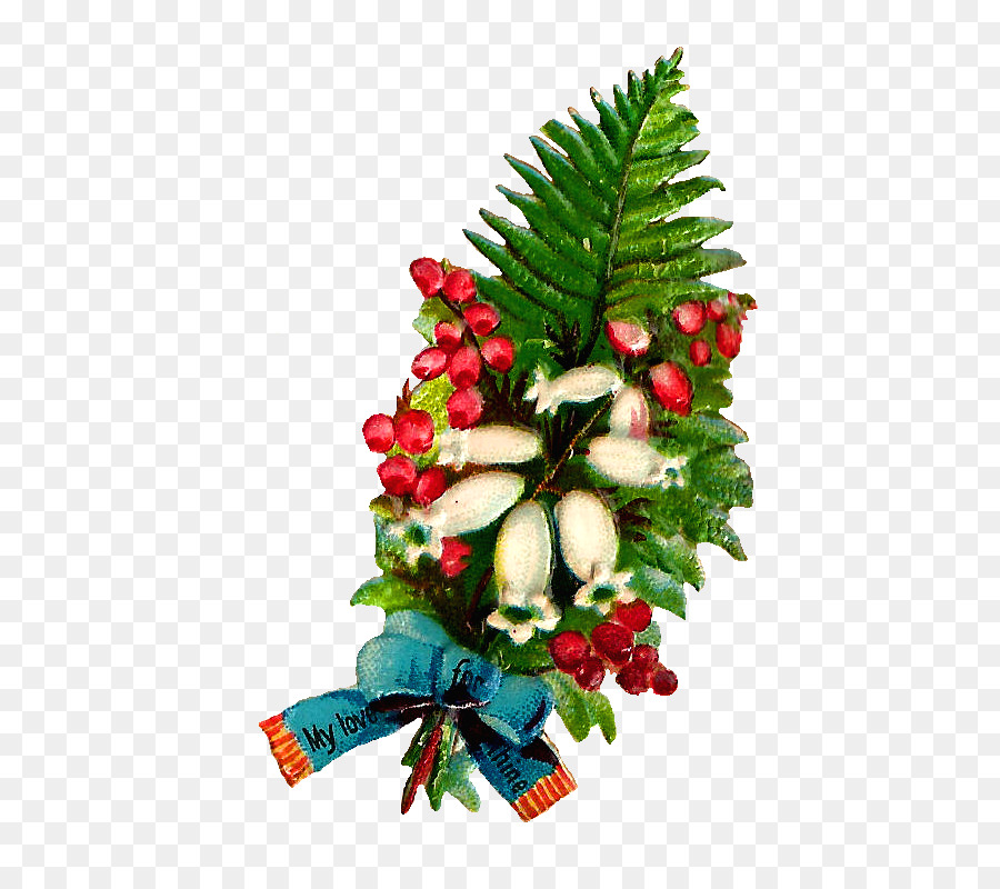 Noel Dekorasyon，Dökmeyen PNG