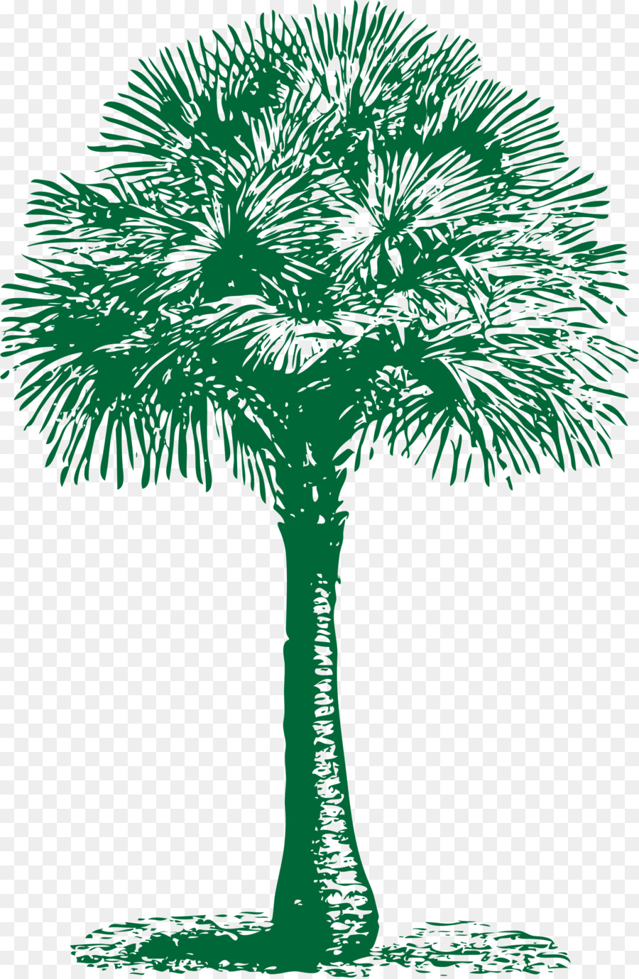 Arecaceae，Asya Palmyra Palm PNG