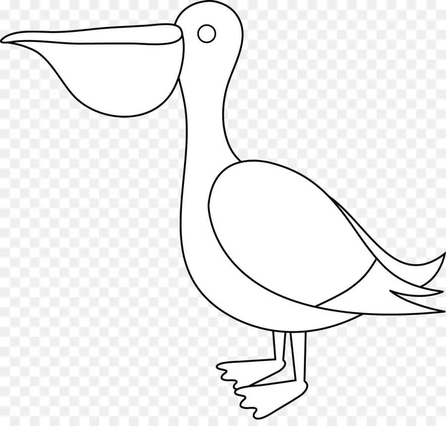 Pelikan，Çizim PNG