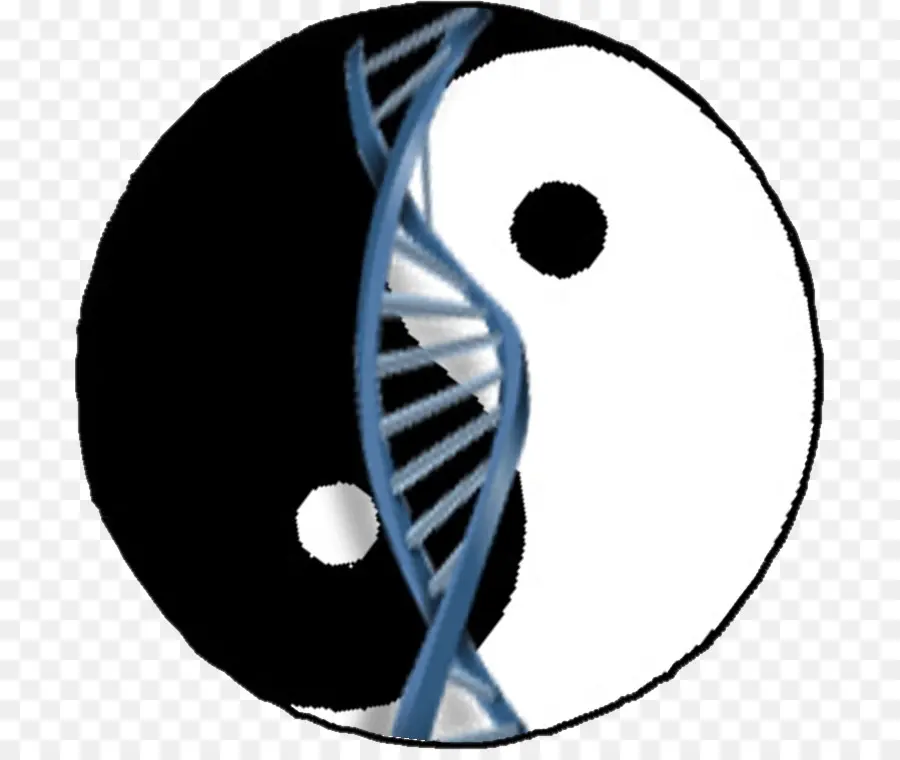 Yin Yang Dna'sı，Yin Yang PNG