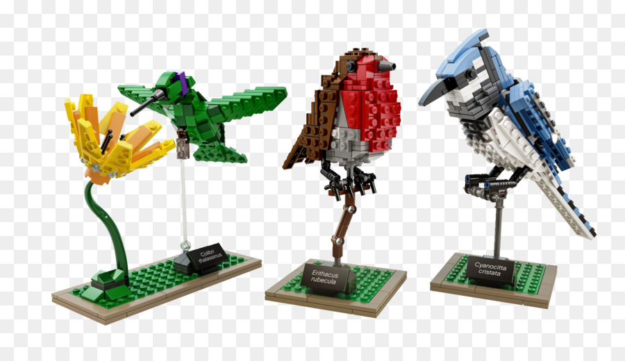 Kuş，Lego Fikirleri PNG