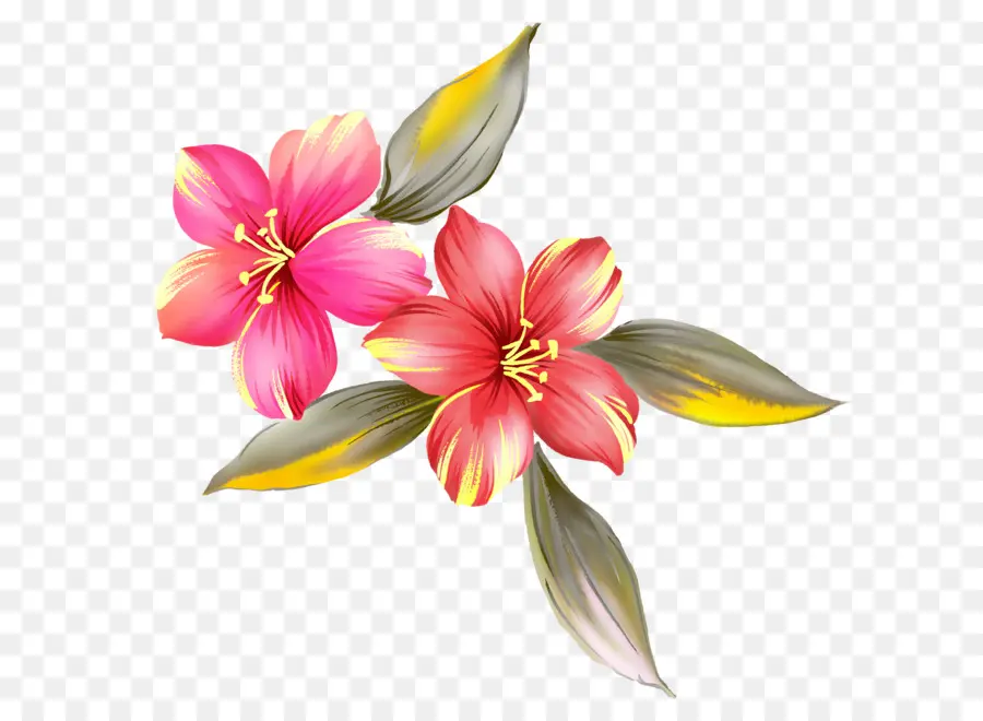 çiçek，Boya PNG