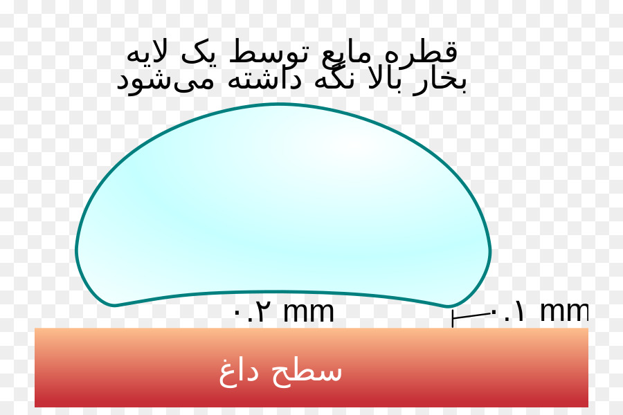 Sıvı Damlası，Yüzey Gerilimi PNG