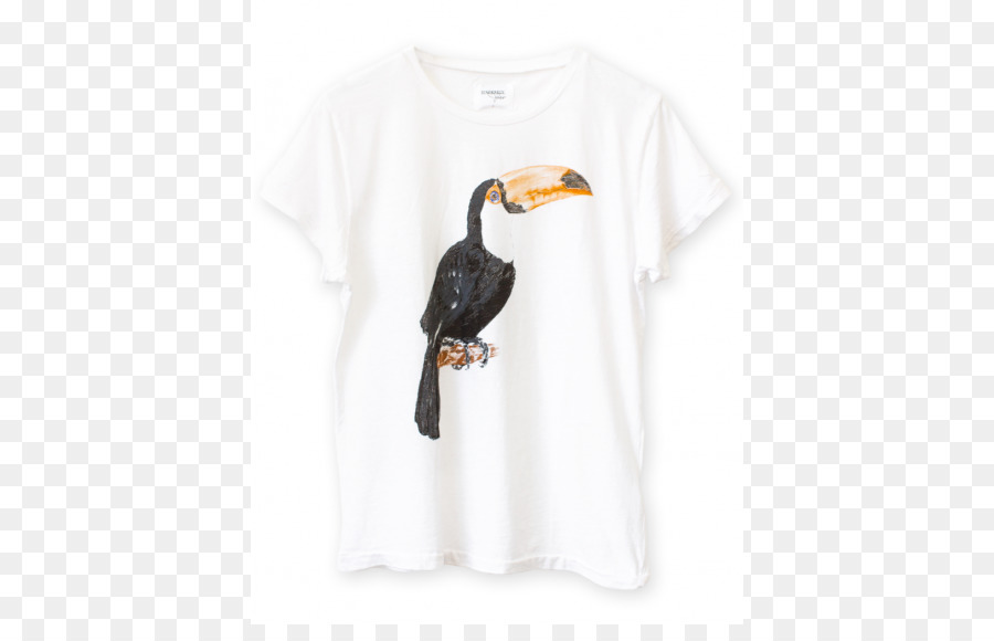 Tshirt，Giyim PNG