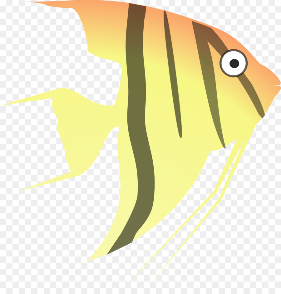 Karikatür，Tatlı Su Melek Balığı PNG