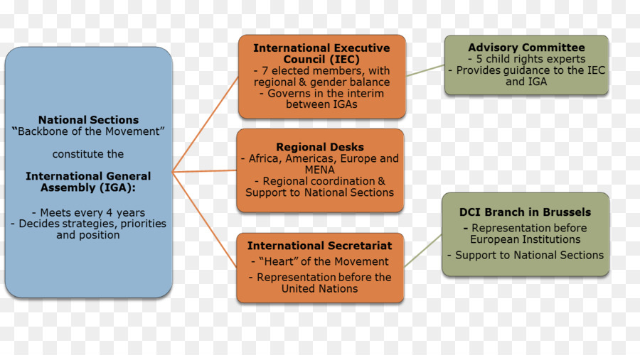 Organizasyon şeması，Organizasyon Yapısı PNG
