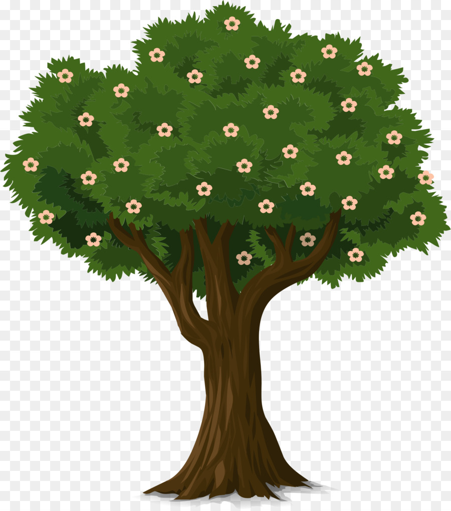 Ağaç，Gövde PNG