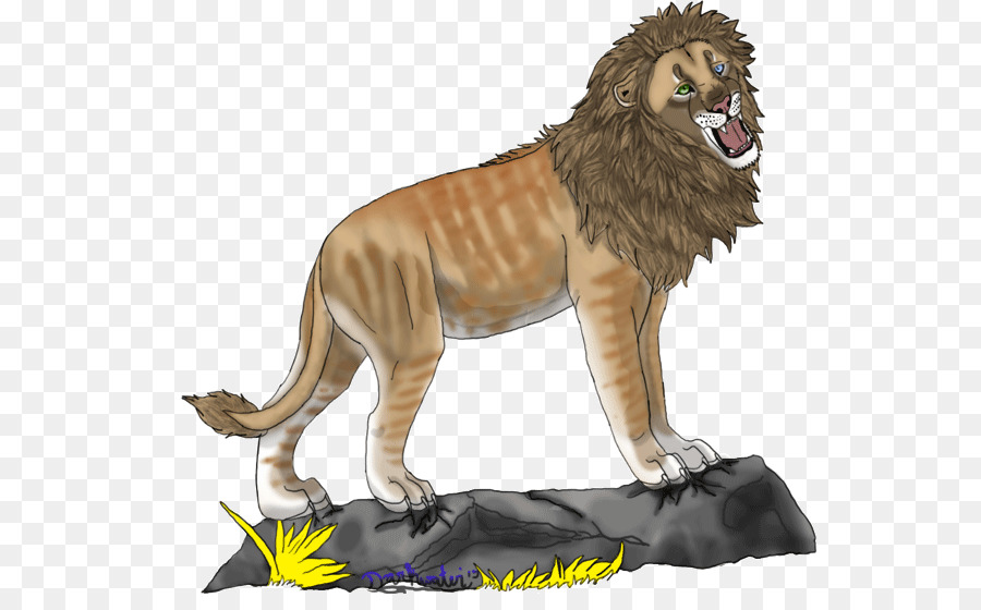 Kedi，Aslan PNG