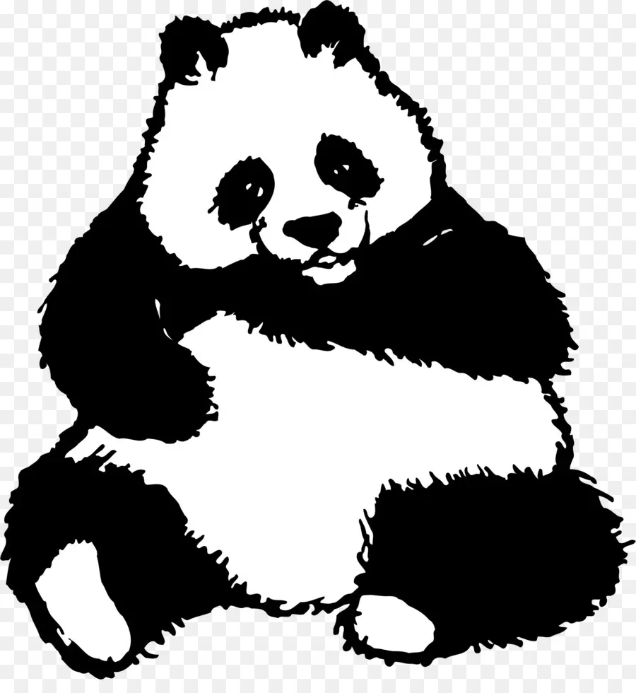 Dev Panda，Çizim PNG