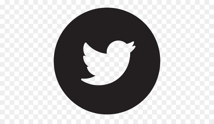 Twitter Logosu，Kuş PNG