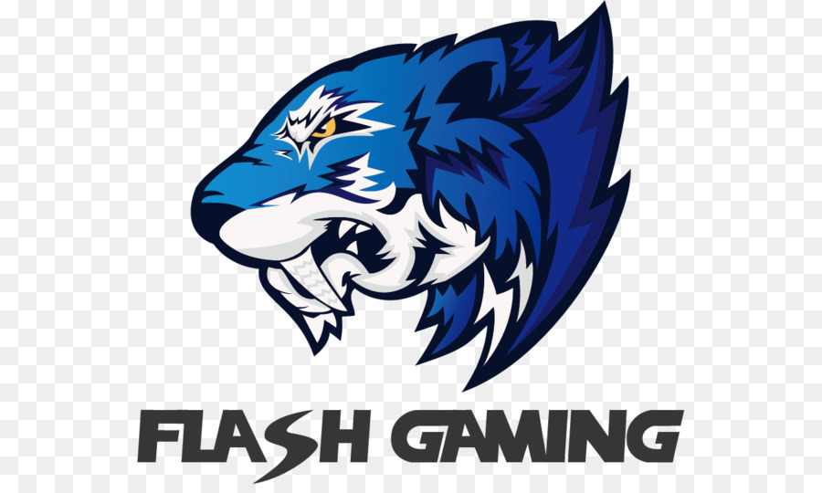 Flash Oyun Logosu，Kaplan PNG