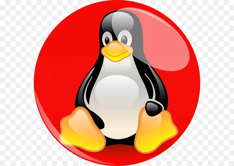 Penguen Ve Windows Logosu，Linux PNG