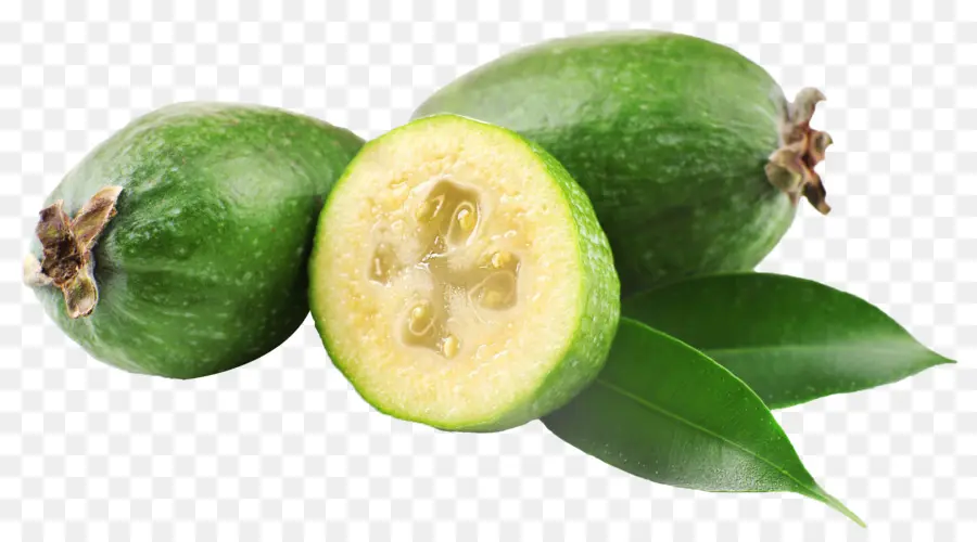 Feijoa，Guava PNG