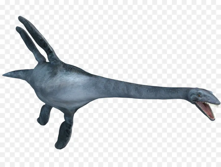 Elmosaurus，Plesiosauria PNG