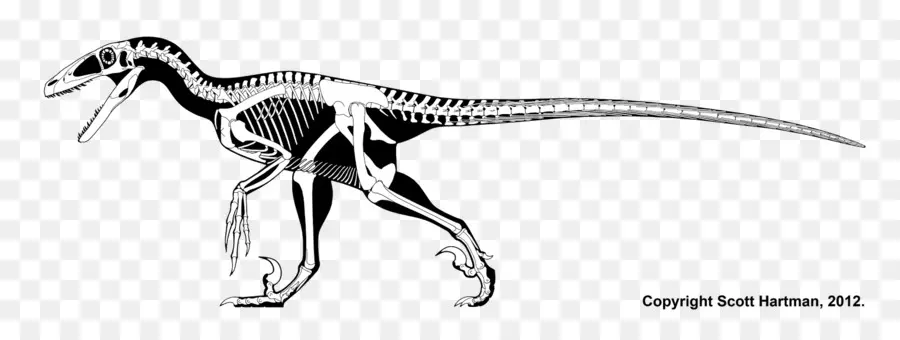 Dinozor İskeleti，Tarih öncesi PNG