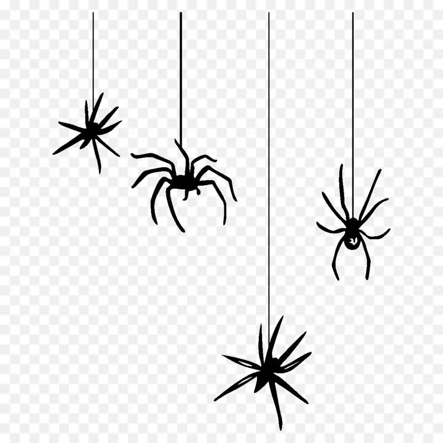 örümcek，örümcek Ağı PNG