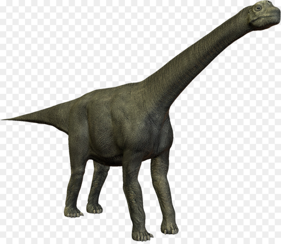 Dinozor，Camarasaurus PNG