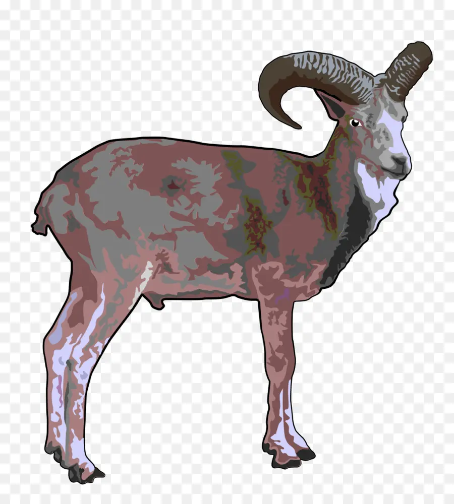 Koyun，Argali PNG