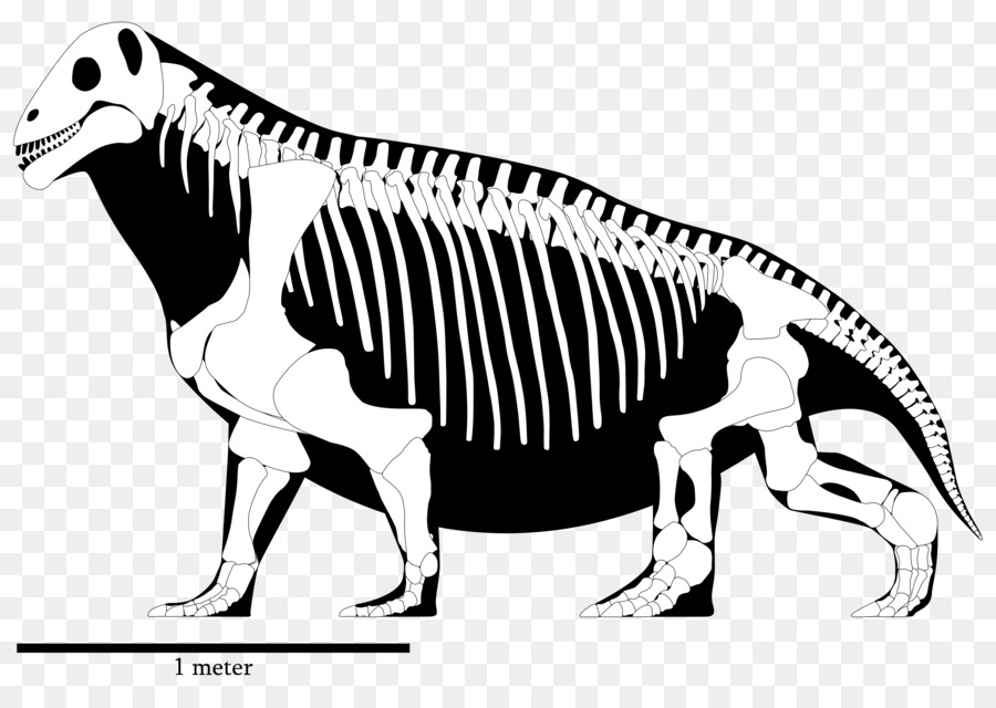 Moschops，Tyrannosaurus PNG