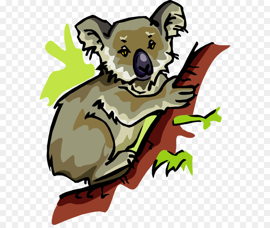 Koala，Hayvan PNG