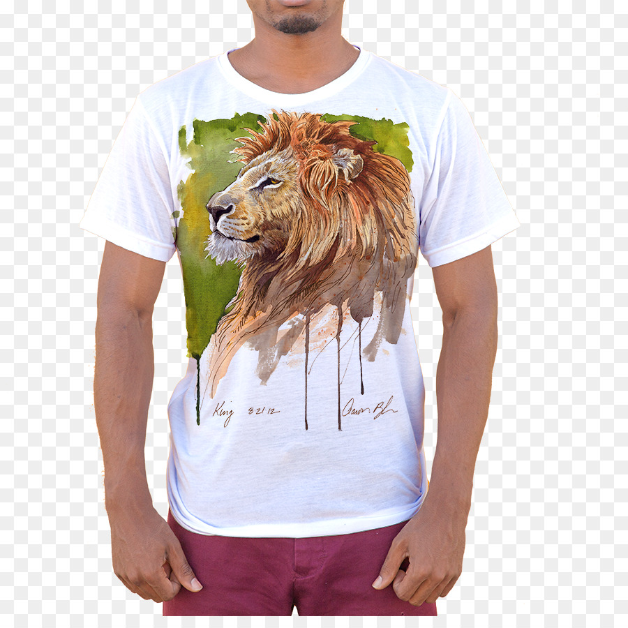 Tshirt，Giyim PNG