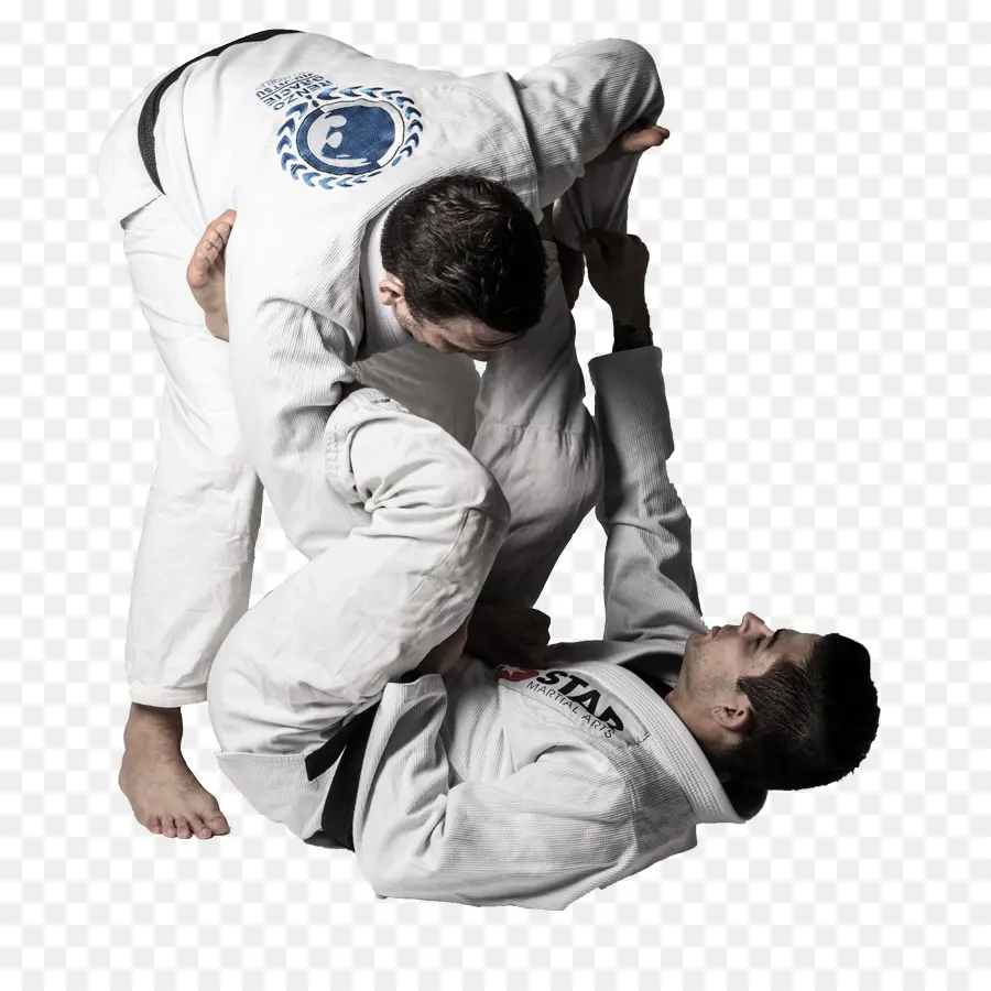 Brezilya Jiujitsu，Jujutsu PNG