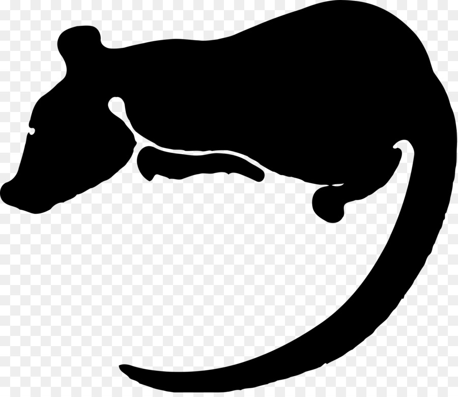 Laboratuvar Sıçan，Sıçan PNG