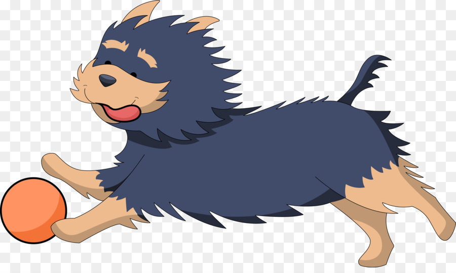 Yorkshire Terrier，Avustralya Terrier PNG