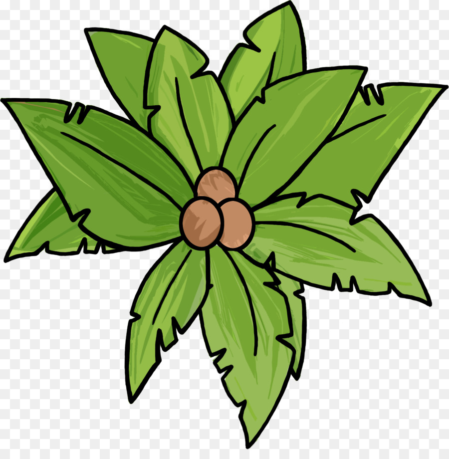 Arecaceae，Ağaç PNG