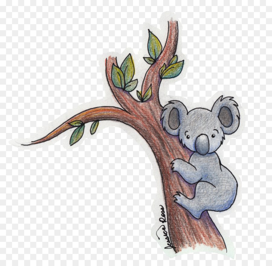 Koala Çizimi，Hayvan PNG