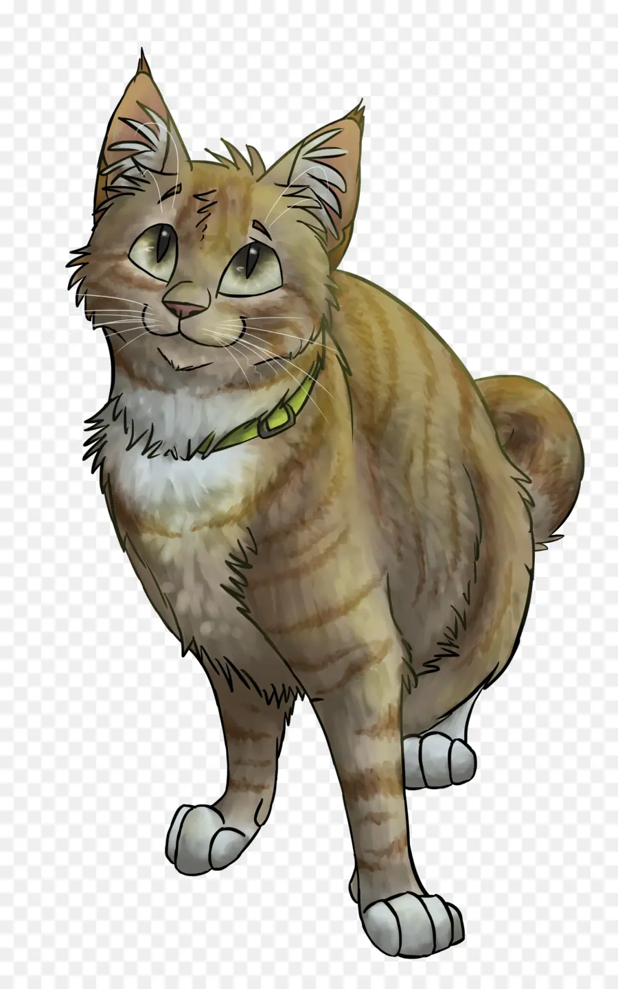 Karikatür Kedi，Evcil Hayvan PNG