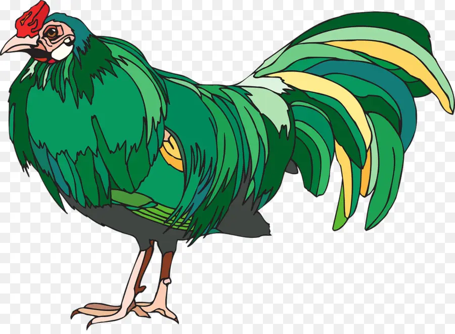 Horoz，Yeşil Ayaklı Keklik Tavuk PNG