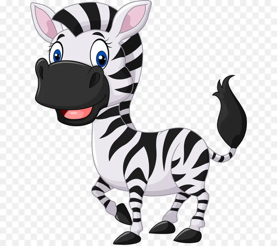 Zebra，Karikatür PNG
