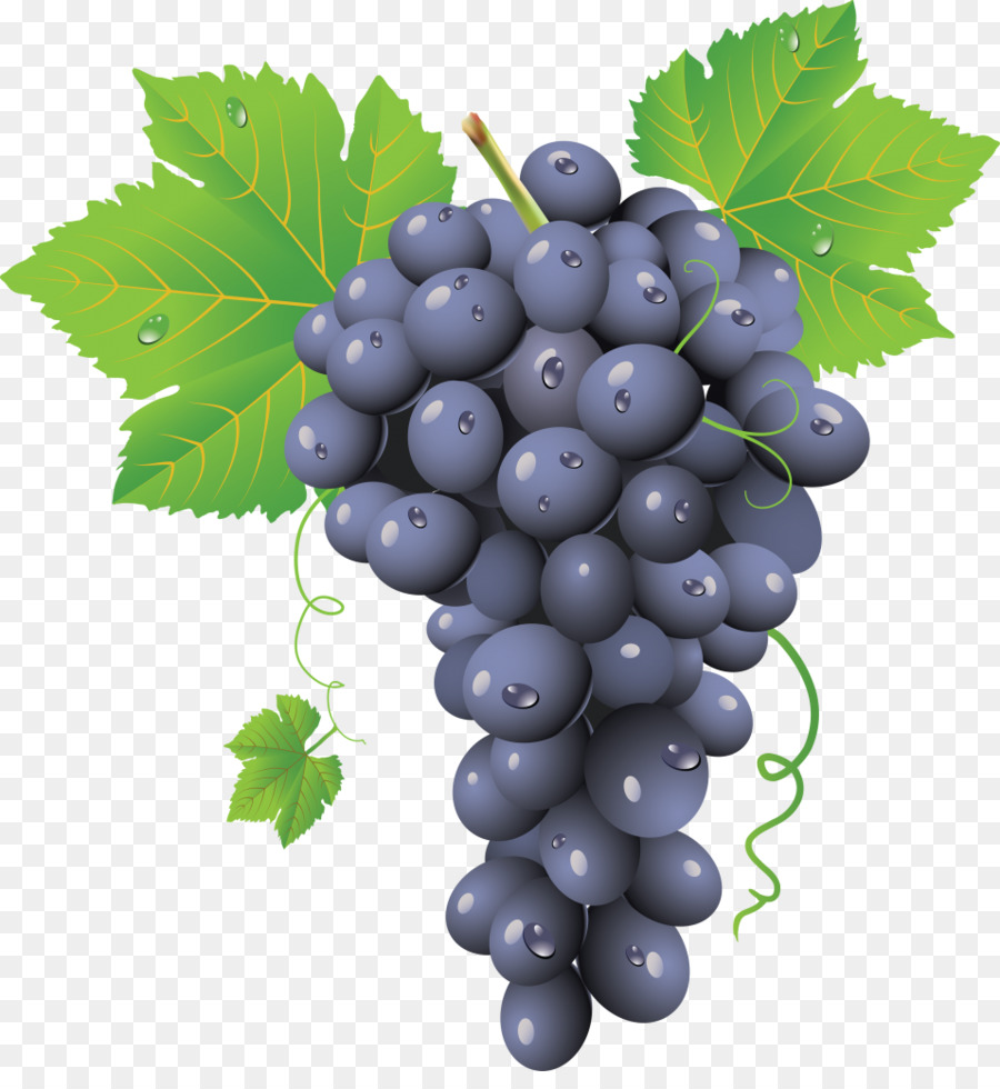 Ortak üzüm Asma，şarap PNG