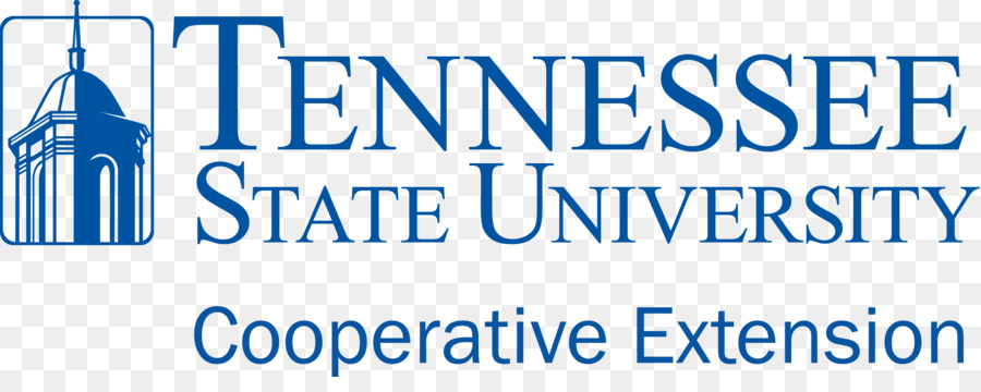 Tennessee Devlet Üniversitesi，Doğu Tennessee Devlet Üniversitesi PNG