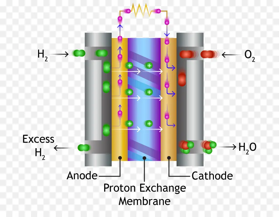 Protonexchange Membran Yakıt Hücresi，Yakıt Hücreleri PNG