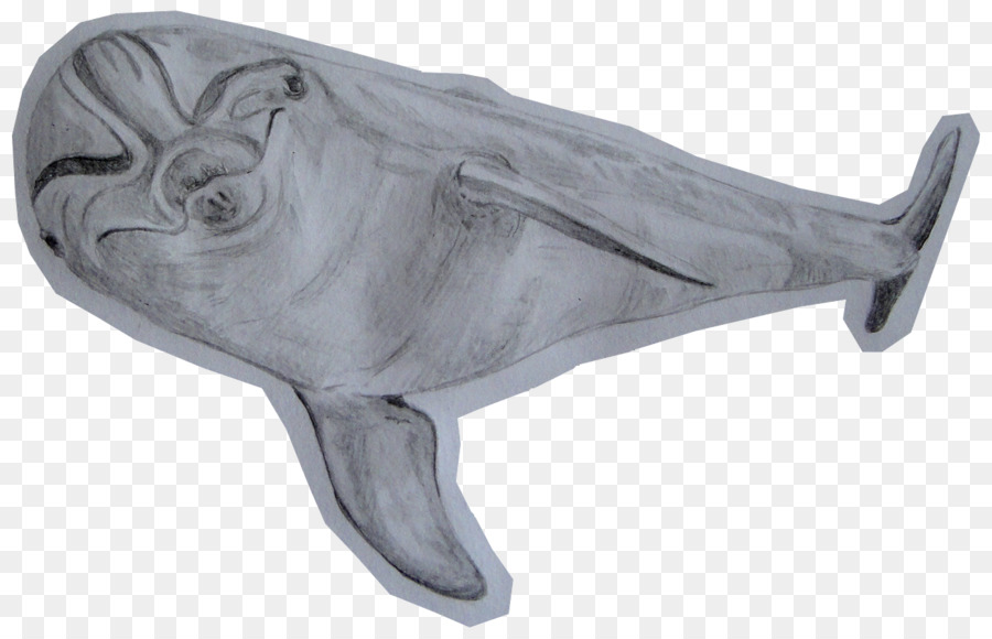 Porpoise，Setacea PNG