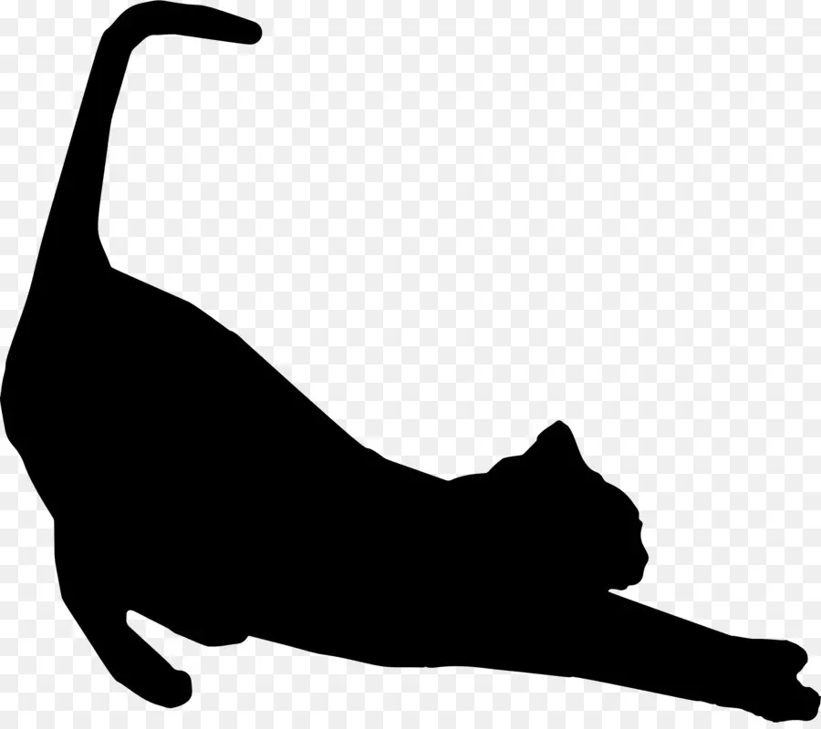 Kedi，Victoria Kedi Koruma Derneği PNG