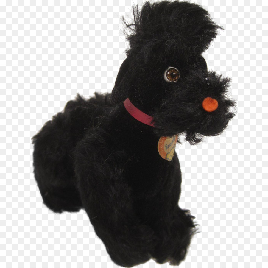 Minyatür Schnauzer，Schnoodle PNG