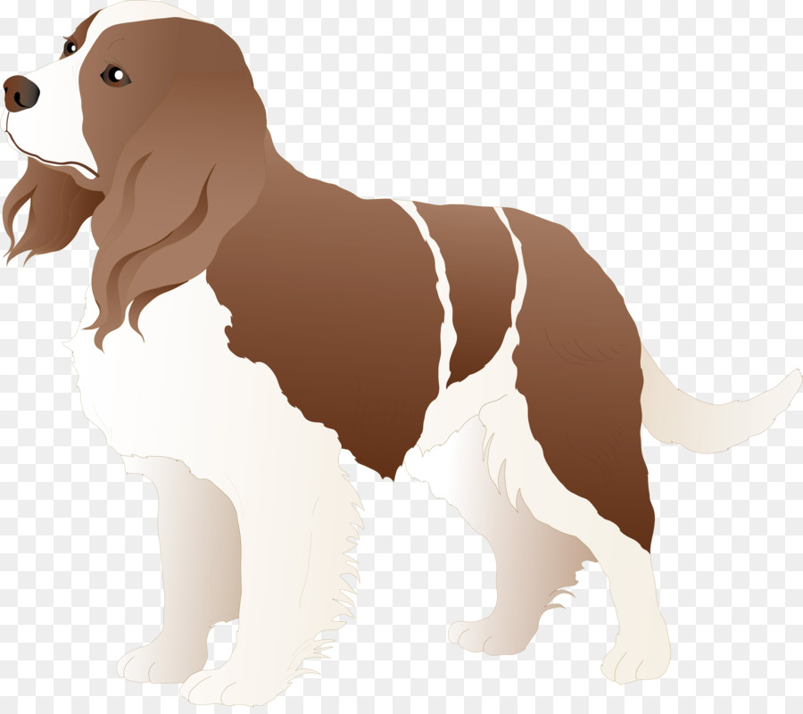 Kahverengi Köpek，Evcil Hayvan PNG