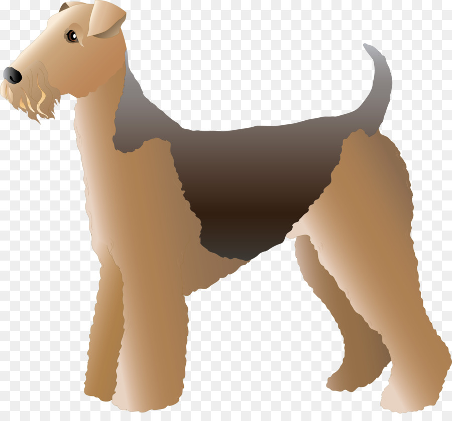 Köpek，Köpek Yavrusu PNG