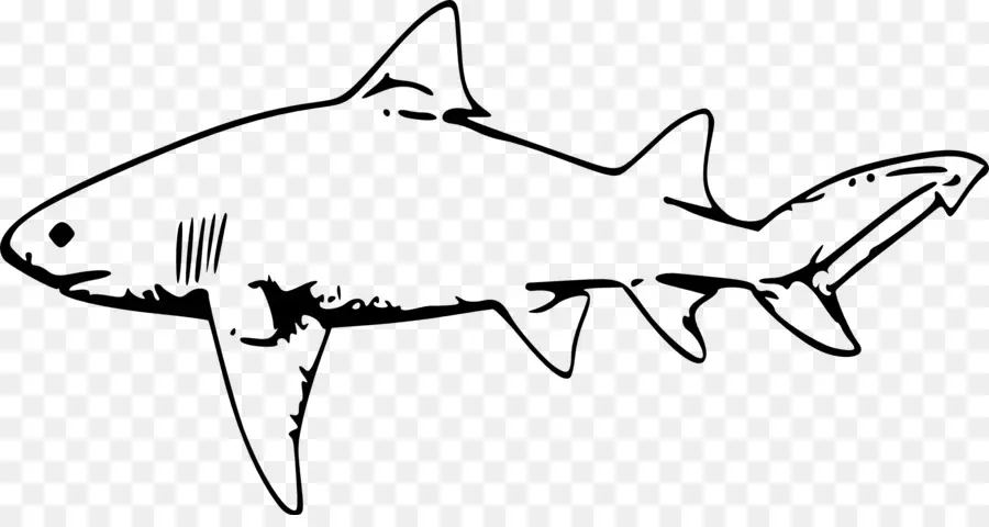 Köpekbalığı，Limon Köpek Balığı PNG