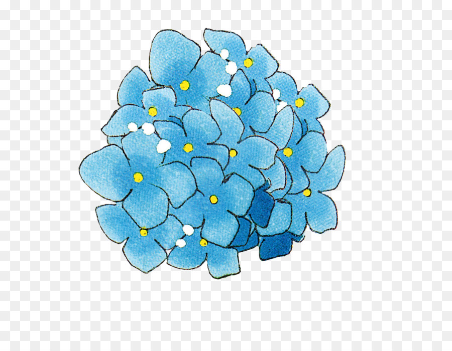 çiçek，Fransız Ortanca PNG
